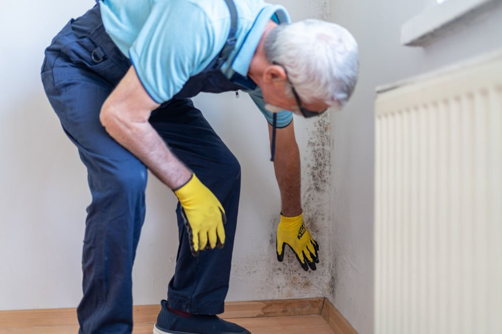 Rising Damp: Real Causes, Common Myths, and How to Protect Your Home
