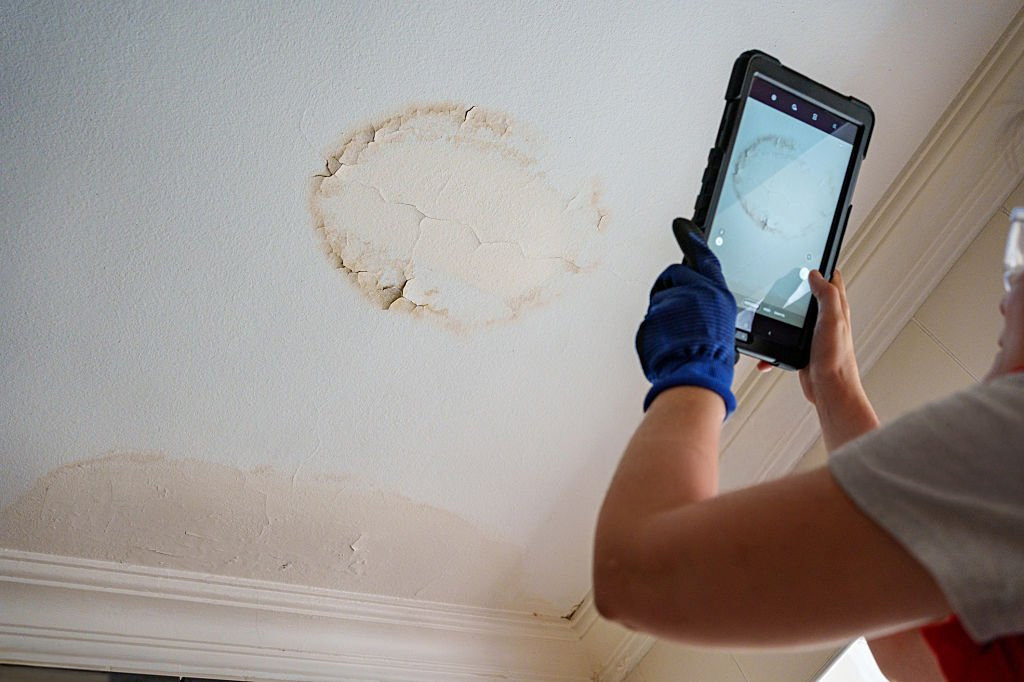 Awaab's Law: What London Landlords Need to Know About the New Damp and Mould Rules