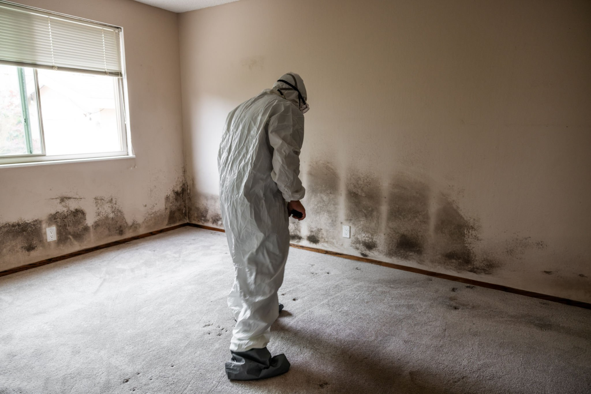 Black Mould in Your London Property: Health Risks & What To Do