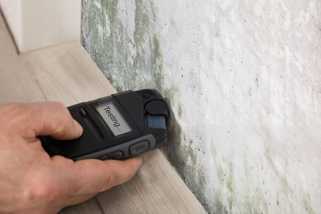 Rising Damp on External Walls: How to Spot It, Stop It, and Protect Your Home