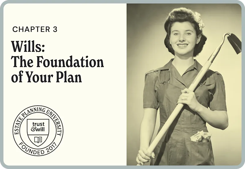 Chapter 3: Wills—The Foundation of Your Plan image