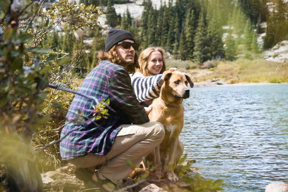 pet-trusts