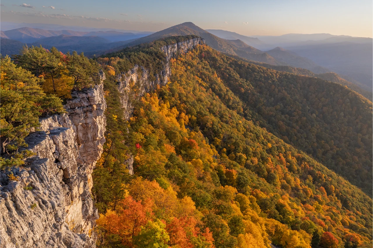 National Forest - NPO