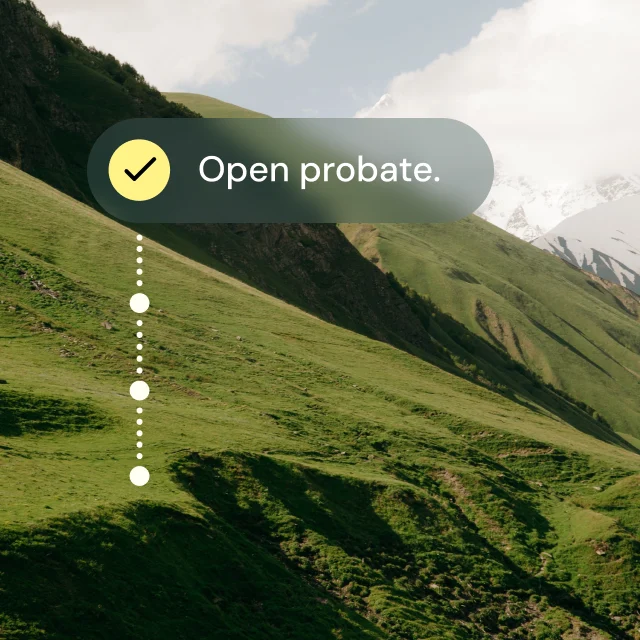 Family Estate Settlement Planning. 