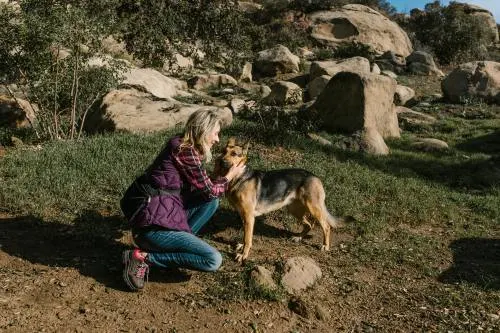 corrective-deed-california-mobile