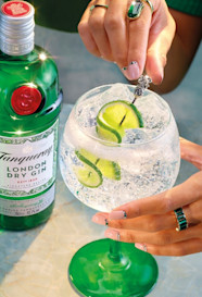 Classic Gin Tonic With Tanqueray London Dry Tanqueray ROW