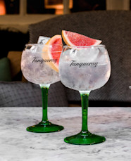 Gin Tonic Cocktail Recipe With N TEN Tanqueray ROW