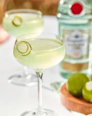 Recette De Cocktail Gimlet Avec Tanqueray Rangpur Tanqueray GB