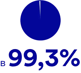 99,3 %