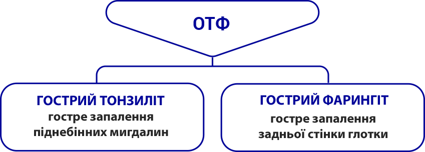 ОТФ