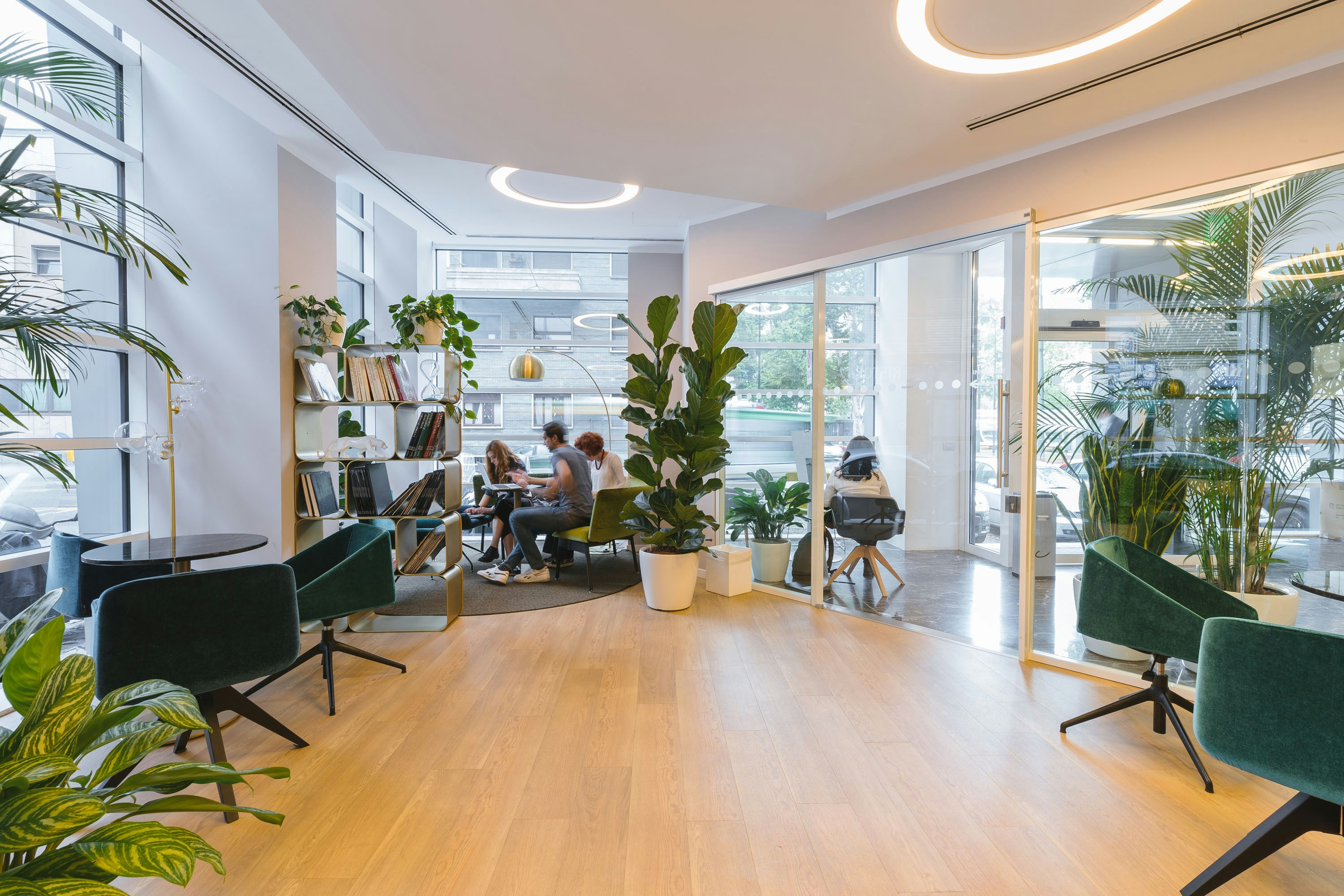 The image shows a modern, bright office lobby or lounge area with light wood flooring, glass partitions, and dark green velvet armchairs decorated with multiple large potted plants