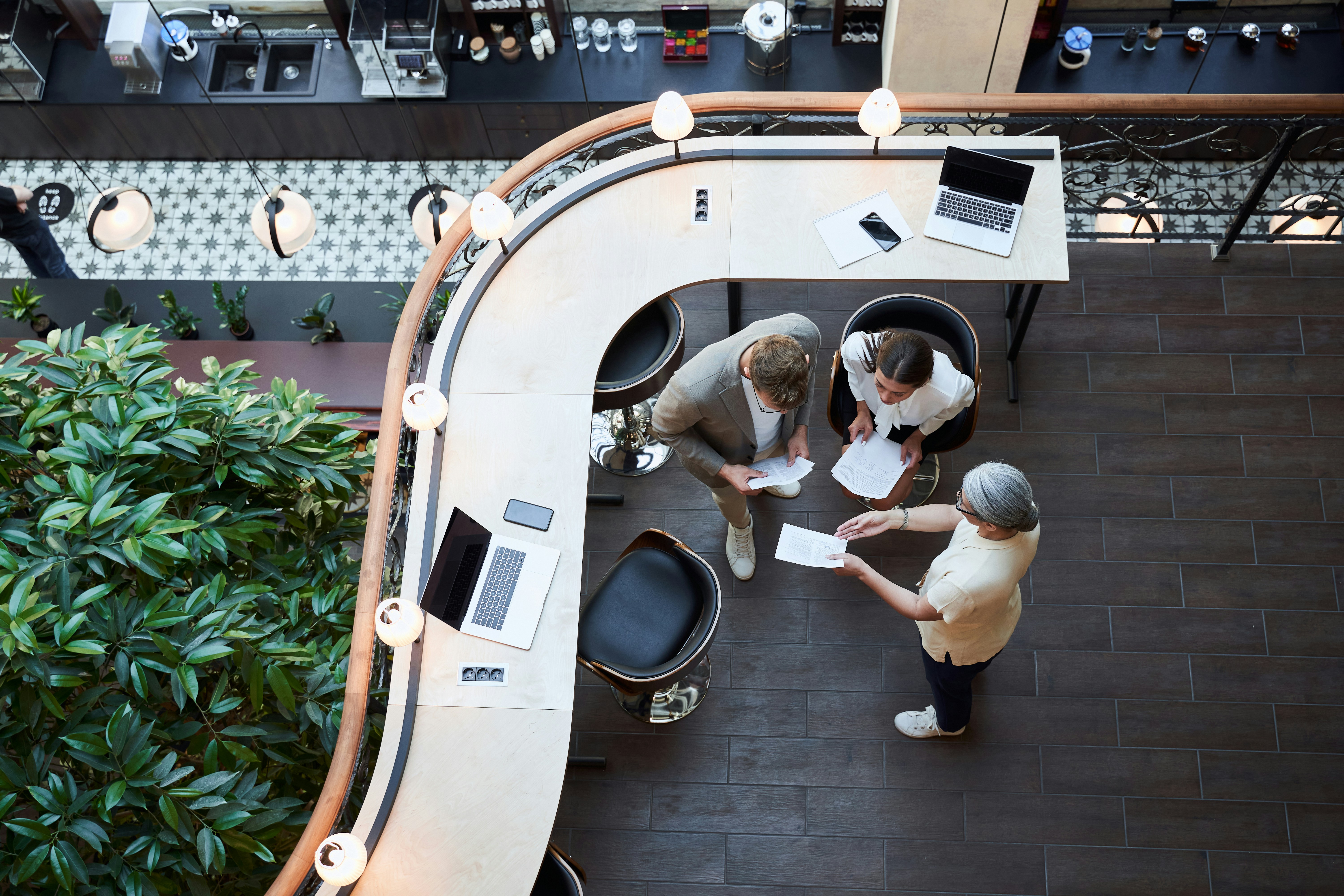 This image shows a modern, collaborative office space featuring a curved wooden desk overlooking a lower level with large plants