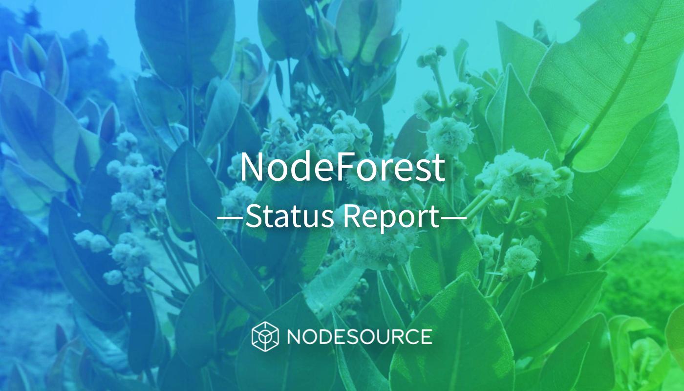 NodeForest Status Report -  Earth Day Project