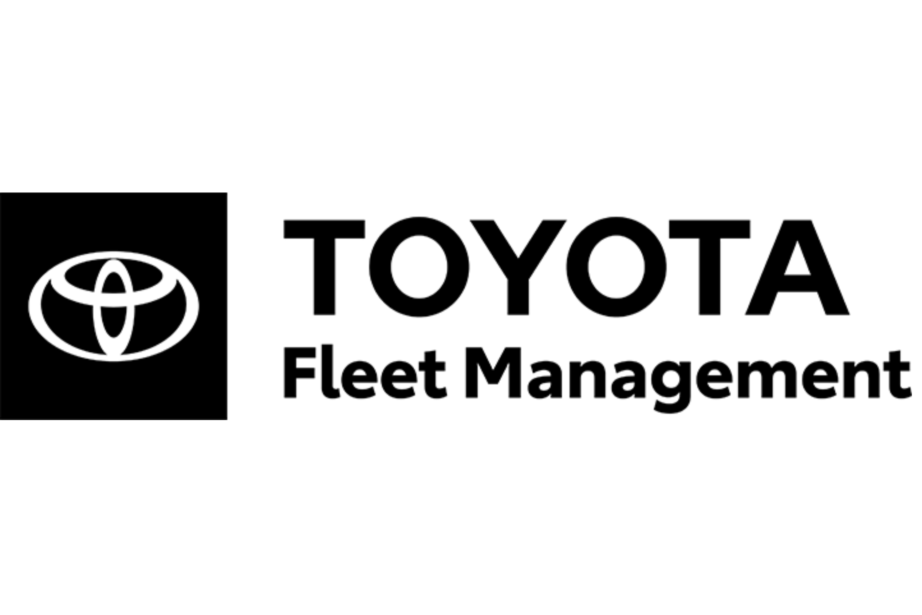 Toyota Fleet