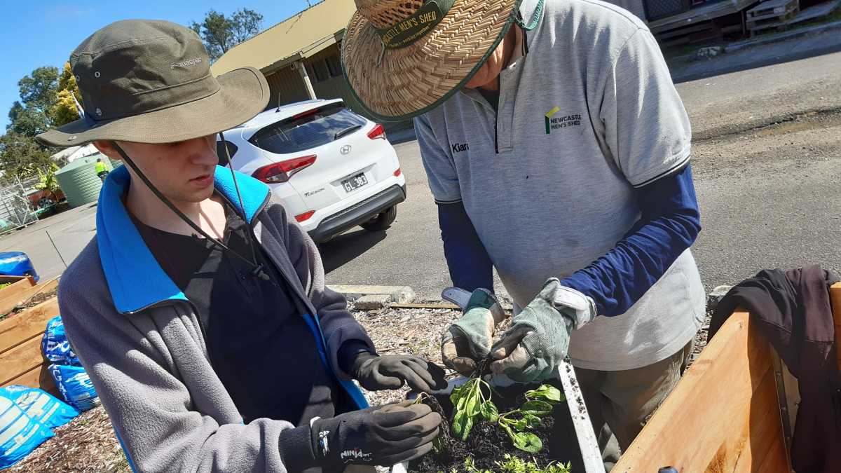 Sam and a Men's Shed volunteer wearing hats and gloves planting small plants in a box.