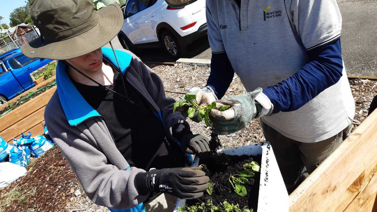 Sam planting small plants into a box at the Men's Shed.