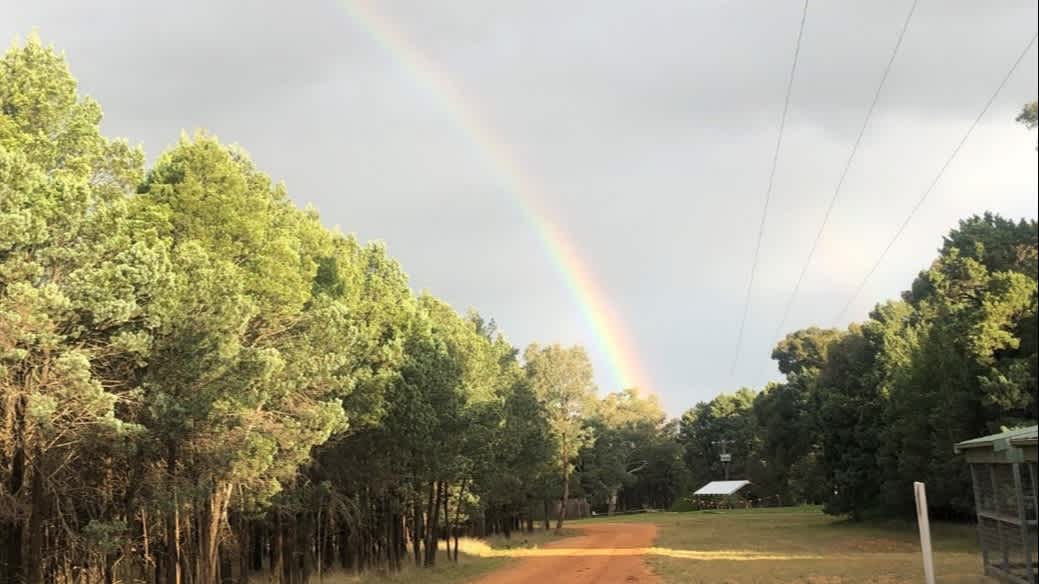 View of bushland with a rainbow across the sky.