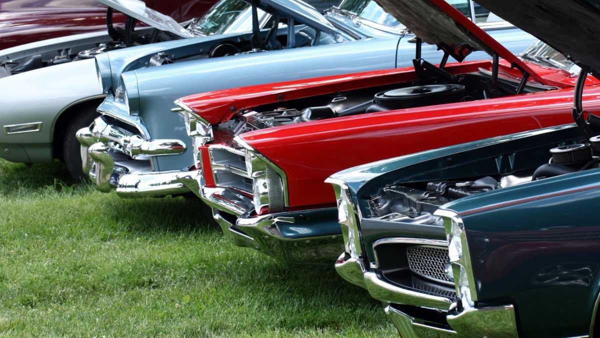 Five cars lined up in a row with the hoods popped.