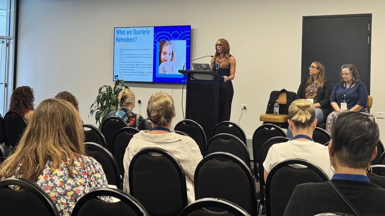 DFV-informed practice advances at 'Coercive Control & Children ...