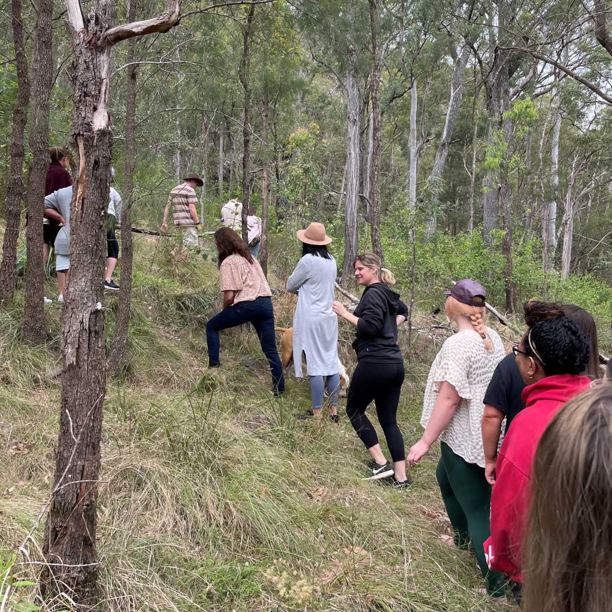 Life Without Barriers staff participating in a bushwalk