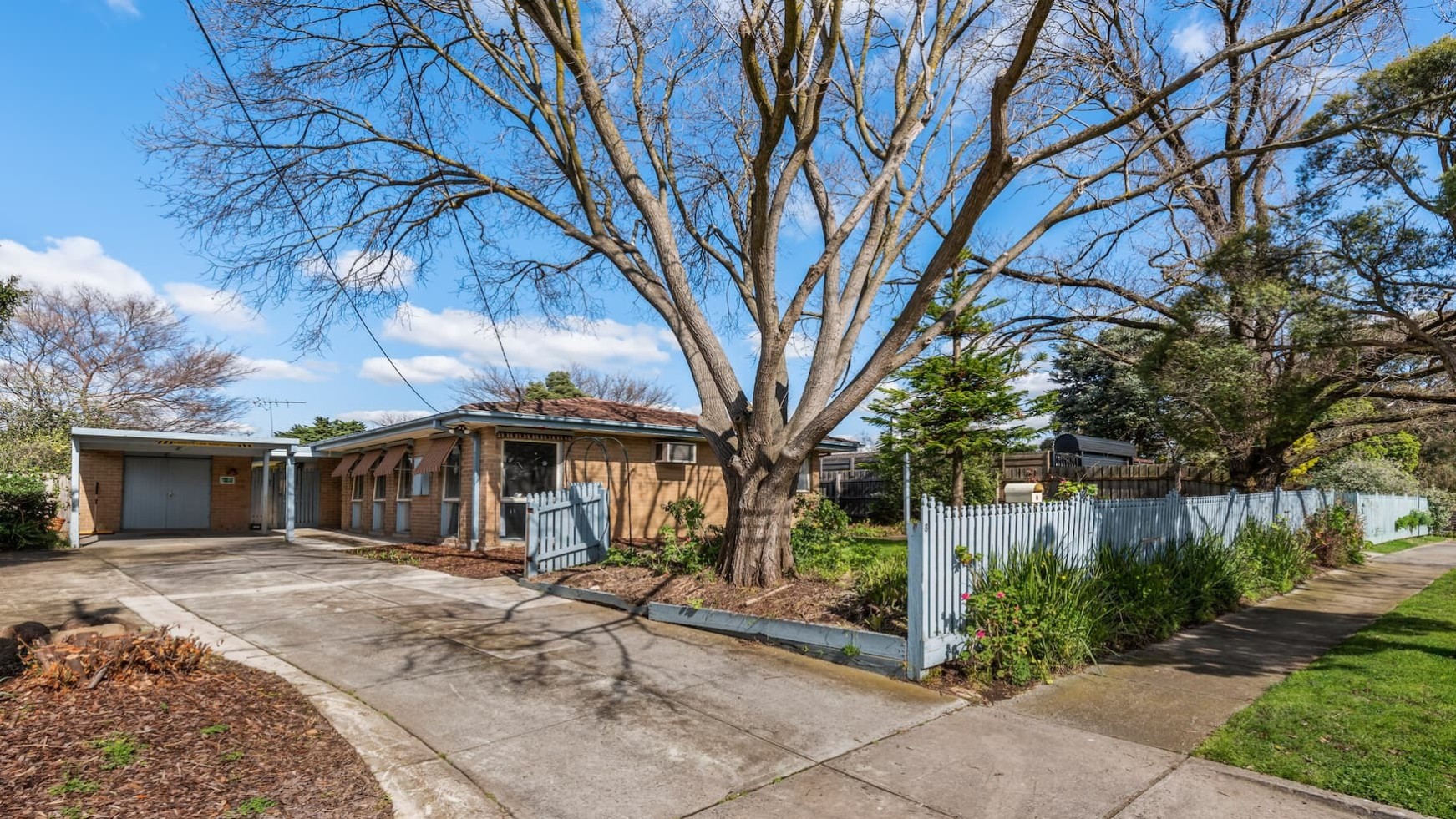 --Front of Templestowe house with a large tree in the front yard, light blue fence and a concrete driveway leading to the house.--