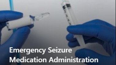 Emergency seizure medication