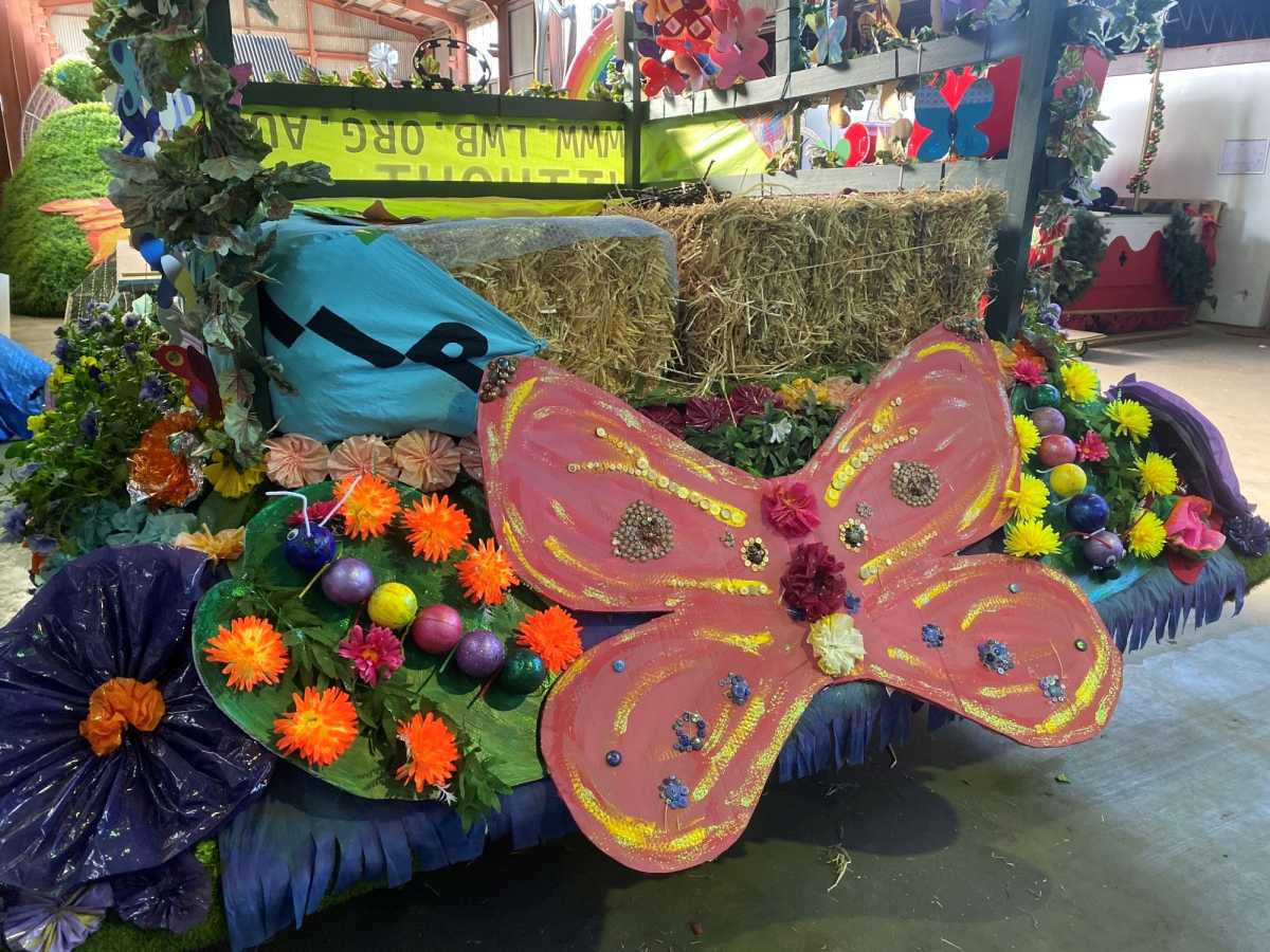 Carnival float with a large pink butterfly.