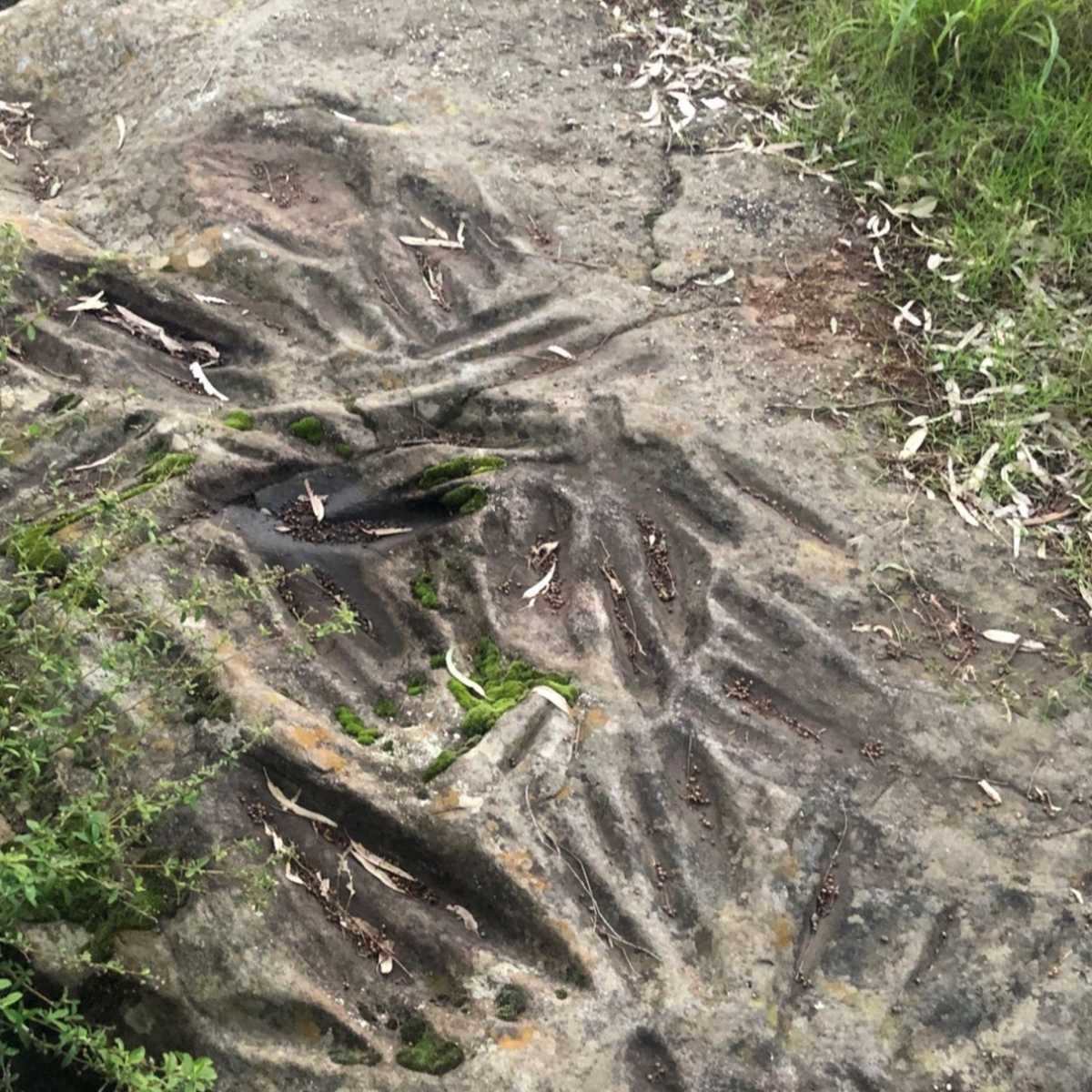 Axe-shaping carving grooves in rock