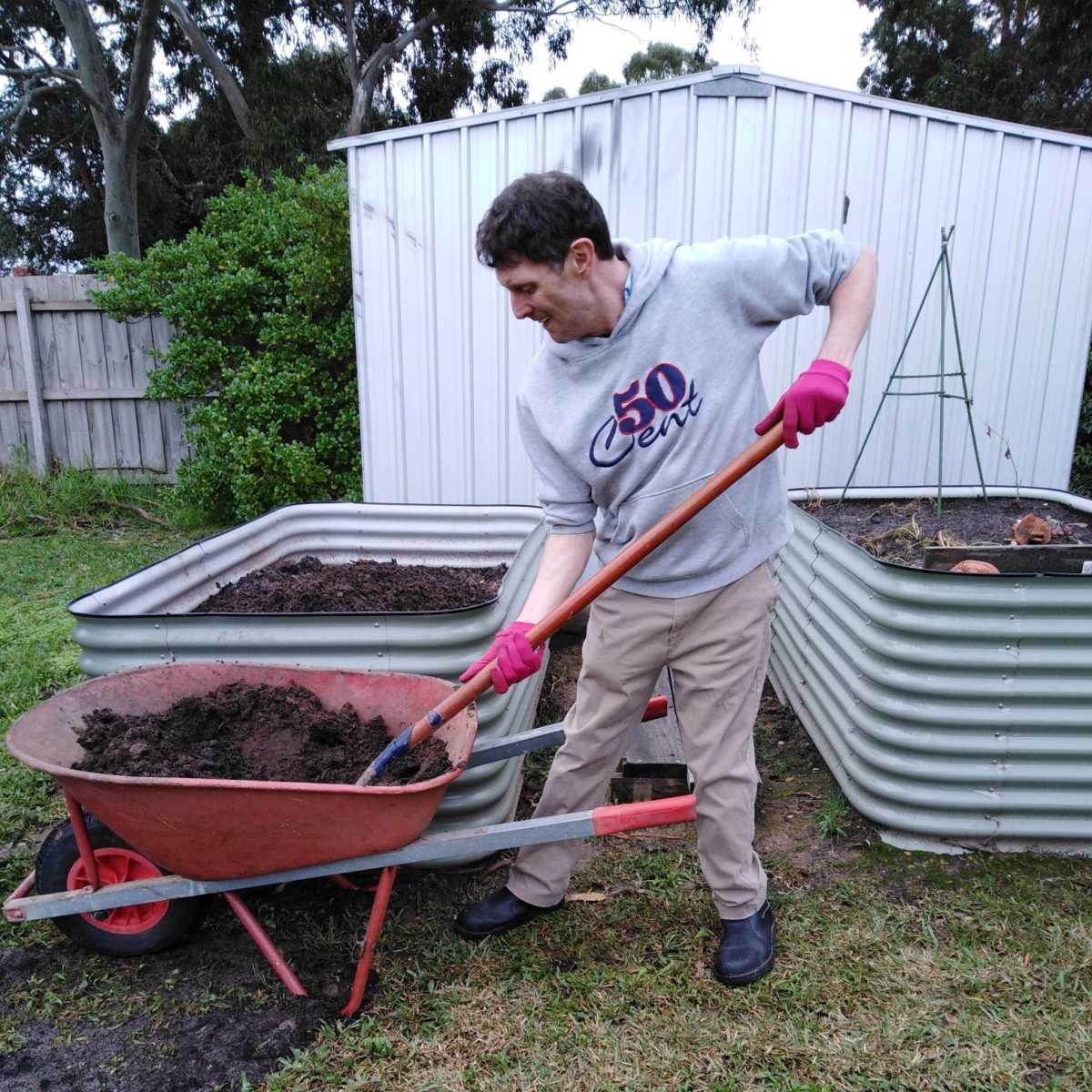 A man wearing a grey hoodie, tan pants and pink gardening gloves is shoveling dirt from a wheel barrow into raised garden beds.