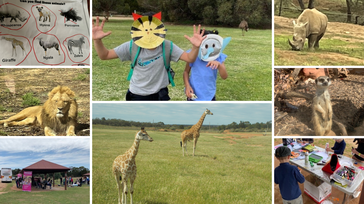 Collage of animals and people from the zoo day.