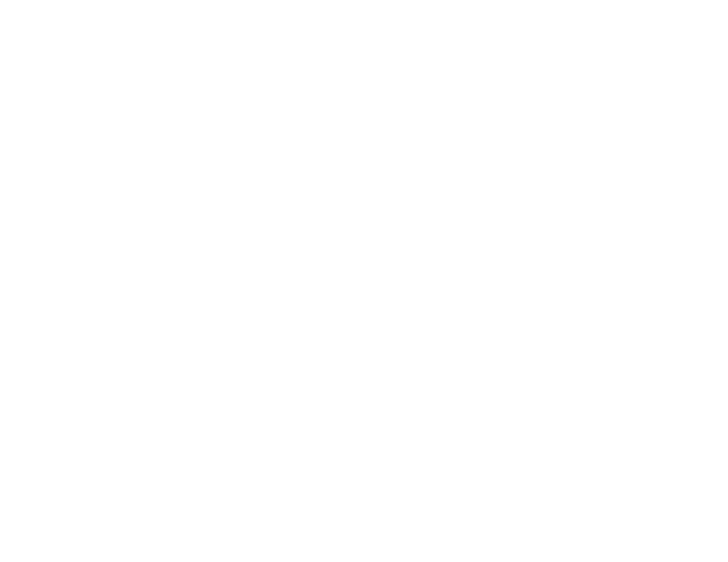 Castore