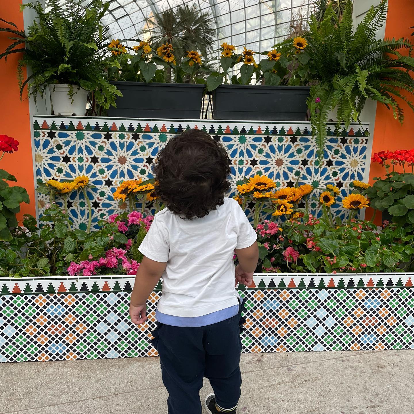 At the Gardens By the Bay. Legend says he's still counting the colours of flowers.