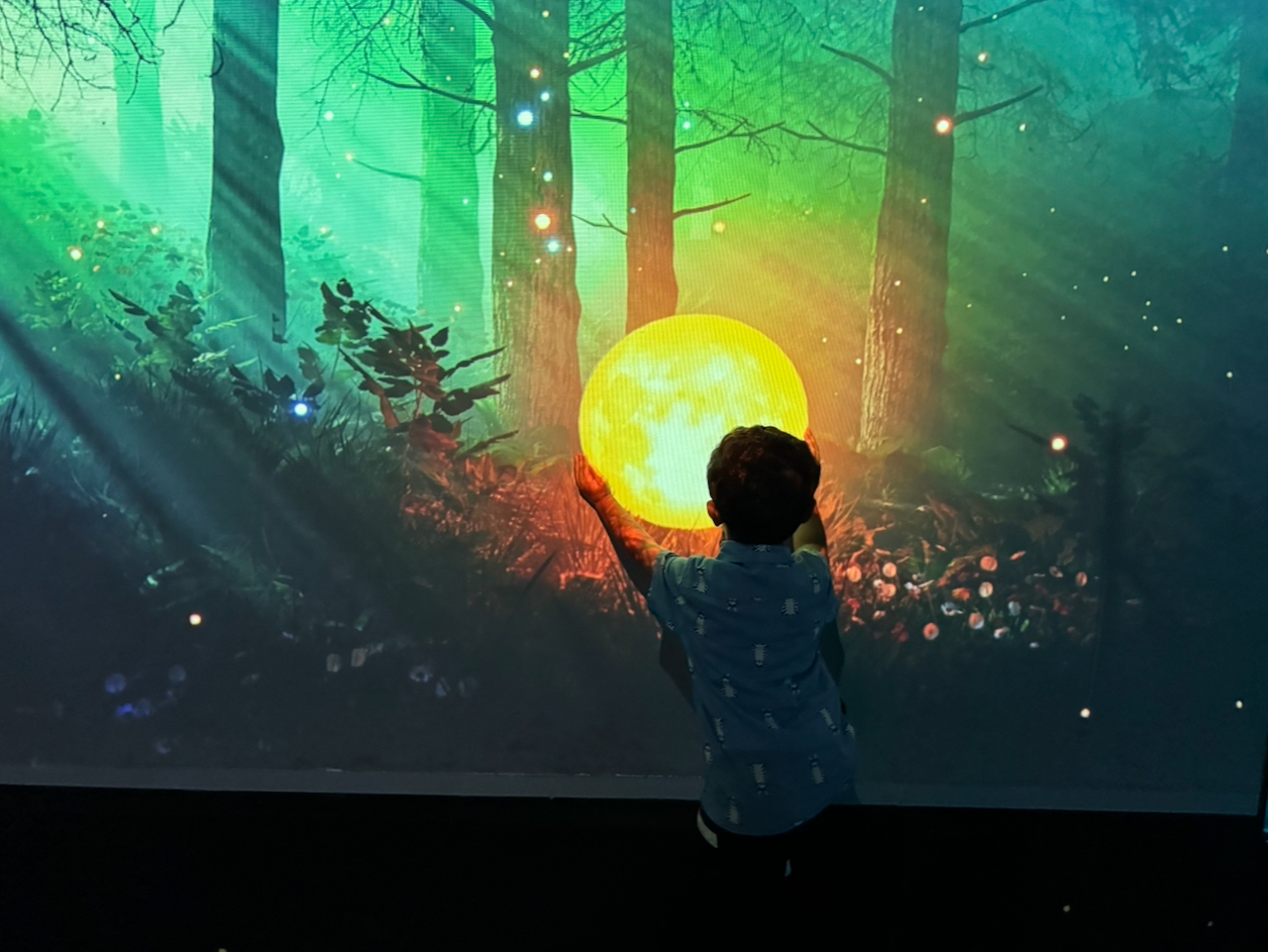 Mumma said don't touch anything. Well, the moon isn't going to fix itself, right?