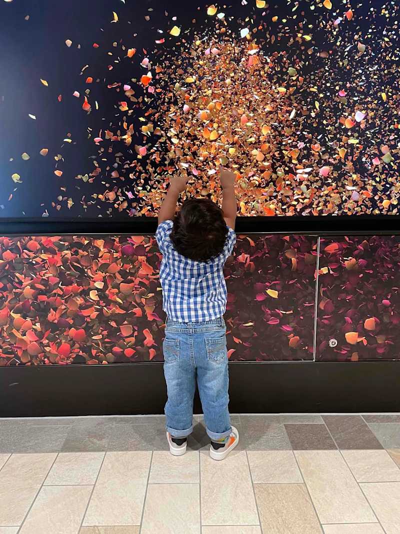 Ayaansh reaching up at a wall of flowers