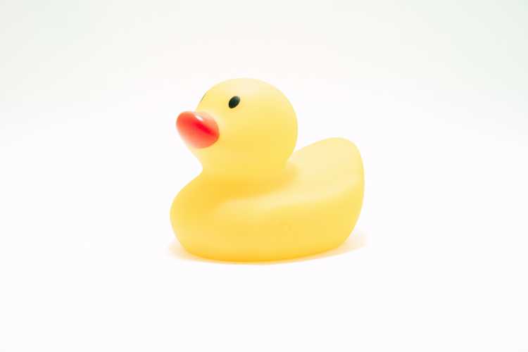 Give a Duck: Inside a remote hackathon project at Routable