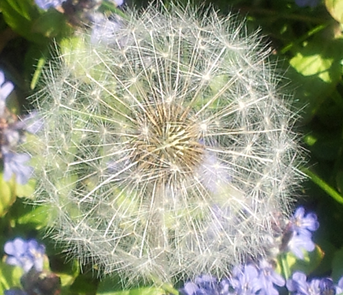 Přípravky OLYNTH® jsou také řešením při senné rýmě