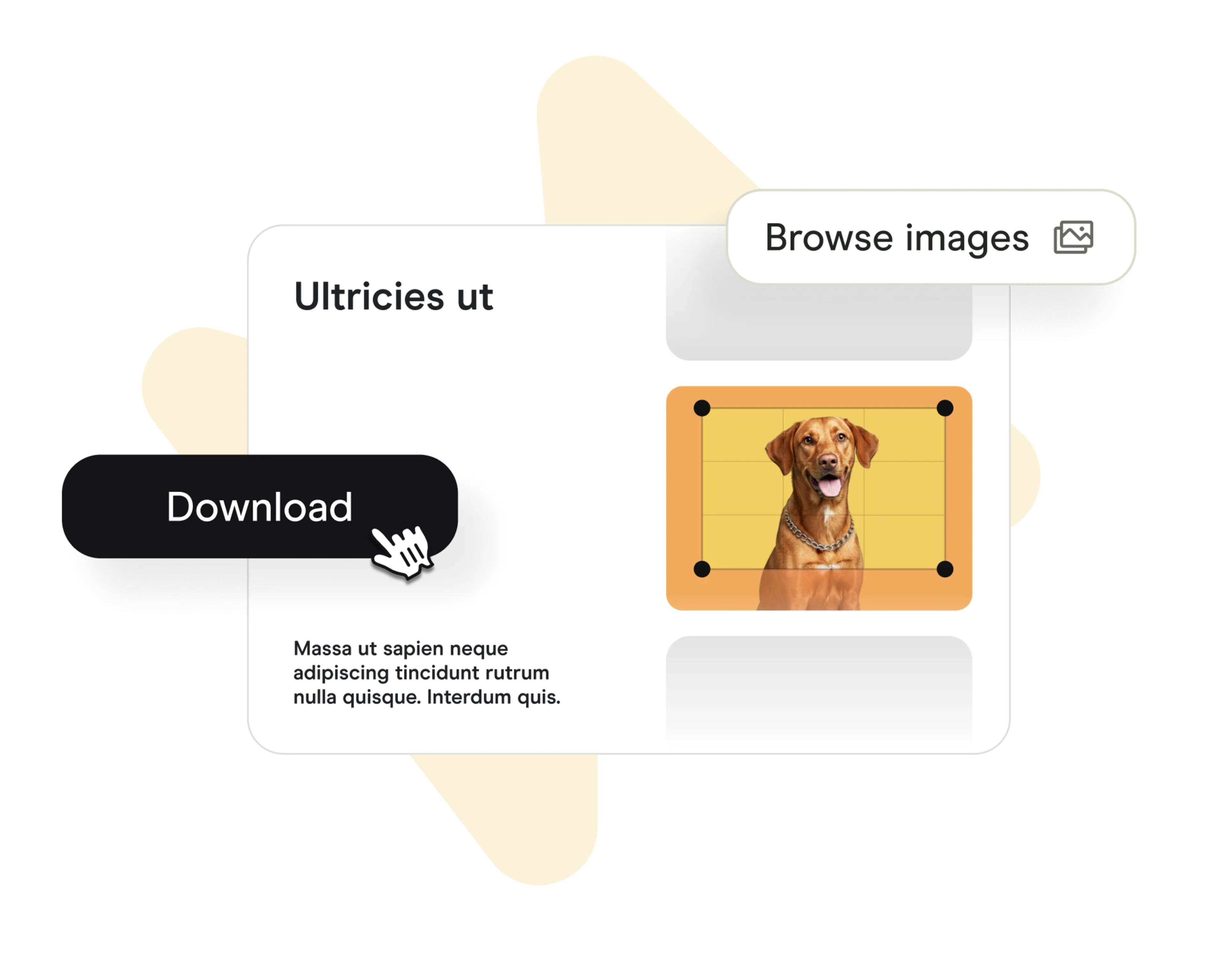Image Cropper Tutorial