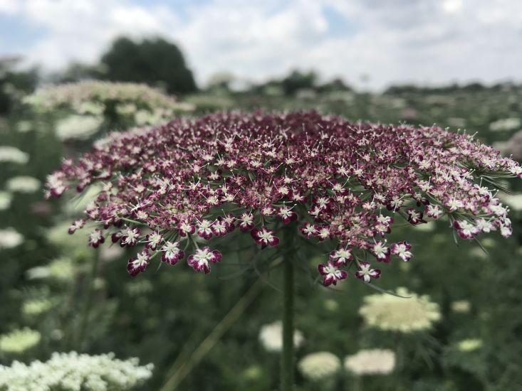 Warme kleuren voor een vrolijk, zomers geheel