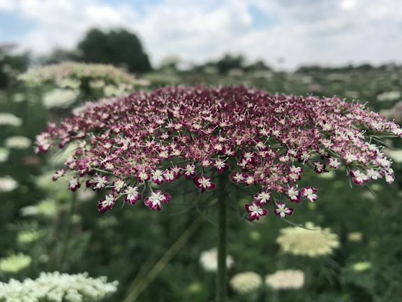 Warm colours for a cheerful, summery ensemble