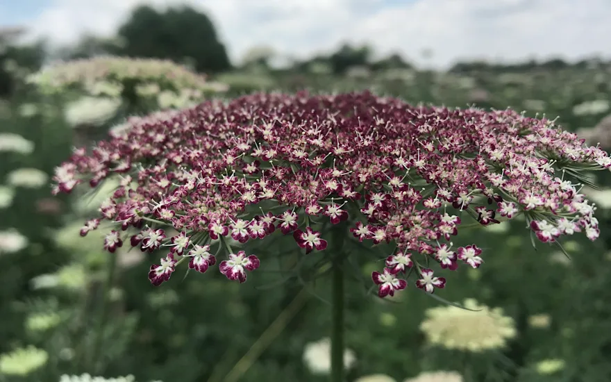Warme kleuren voor een vrolijk, zomers geheel