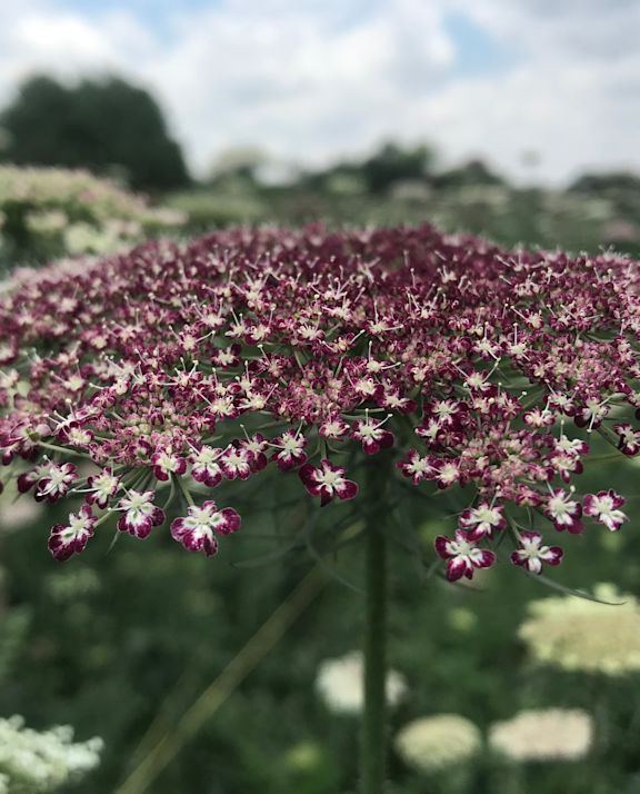 Warm colours for a cheerful, summery ensemble