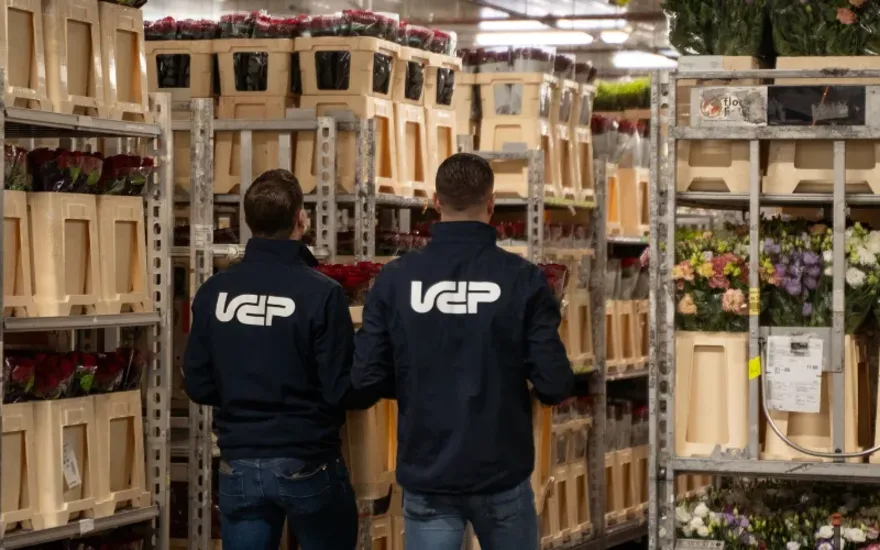 Großhandel Blume Zelle