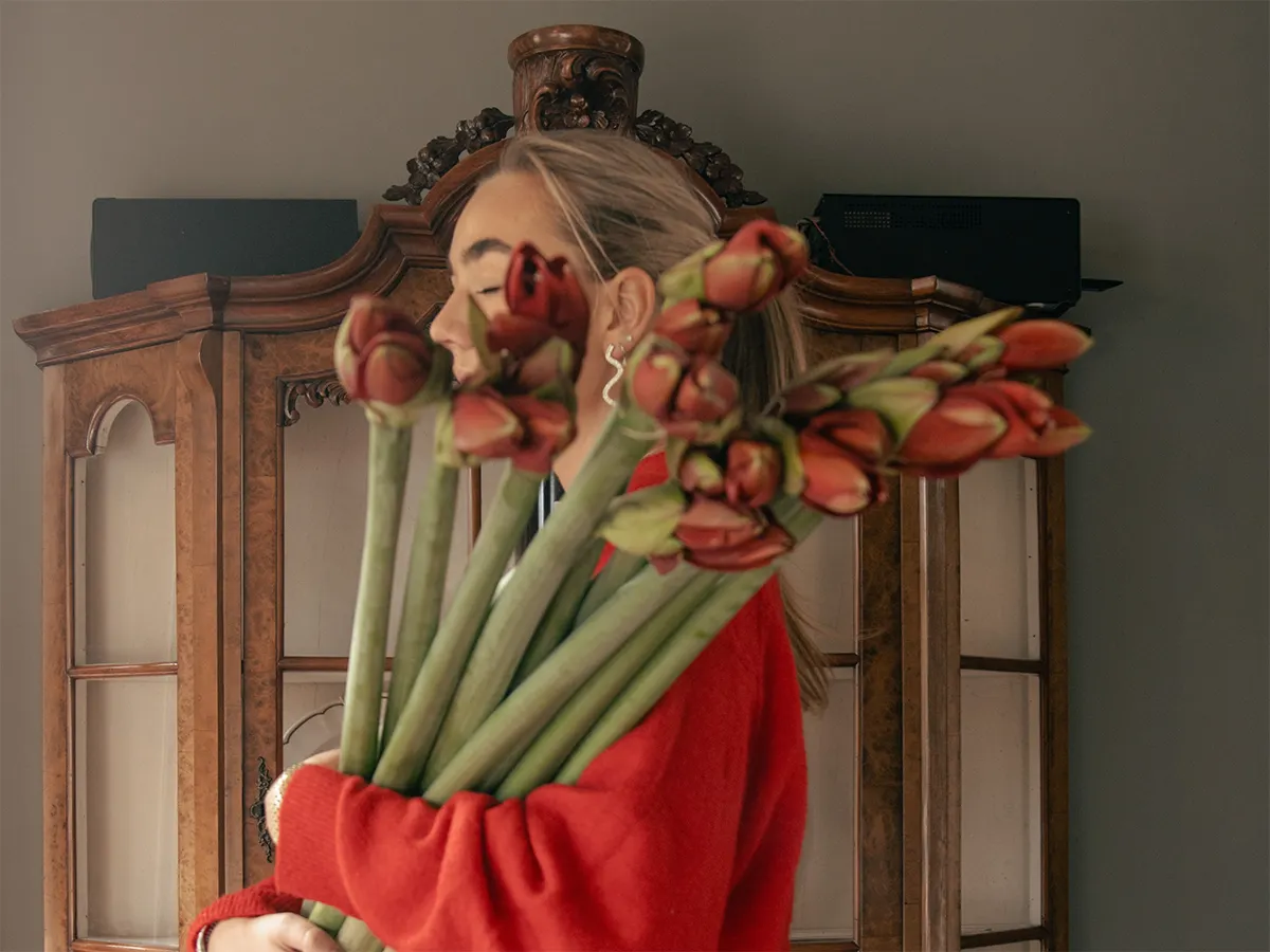 Amaryllis groothandel voor bloemisten | Van der Plas