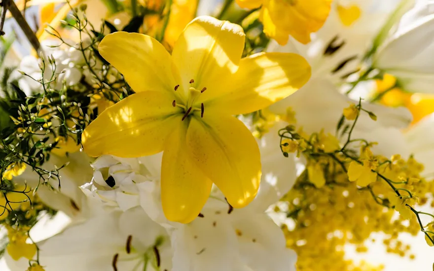 Van der Plas Wedding Lillies13.2