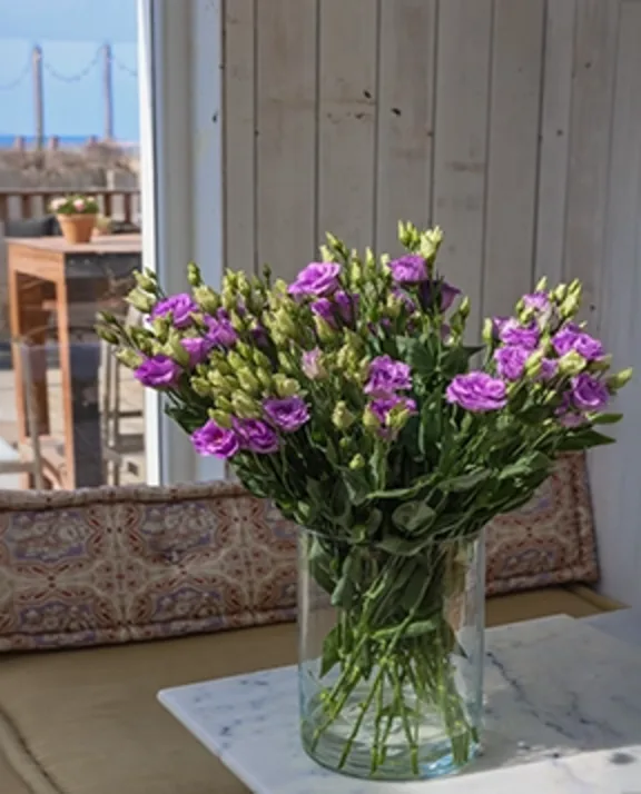 Blog list page Lugt Lisianthus