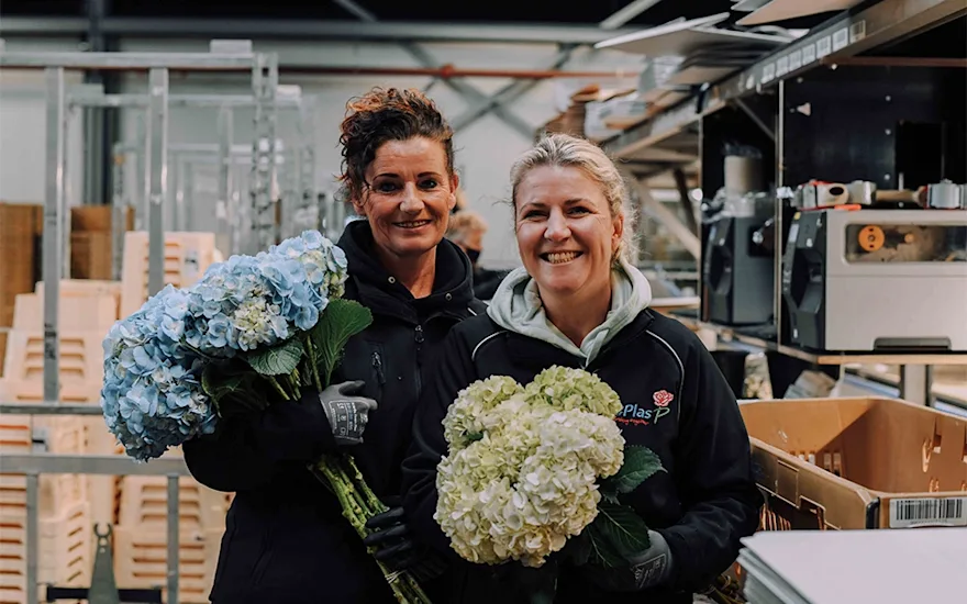 Flower wholesale employees