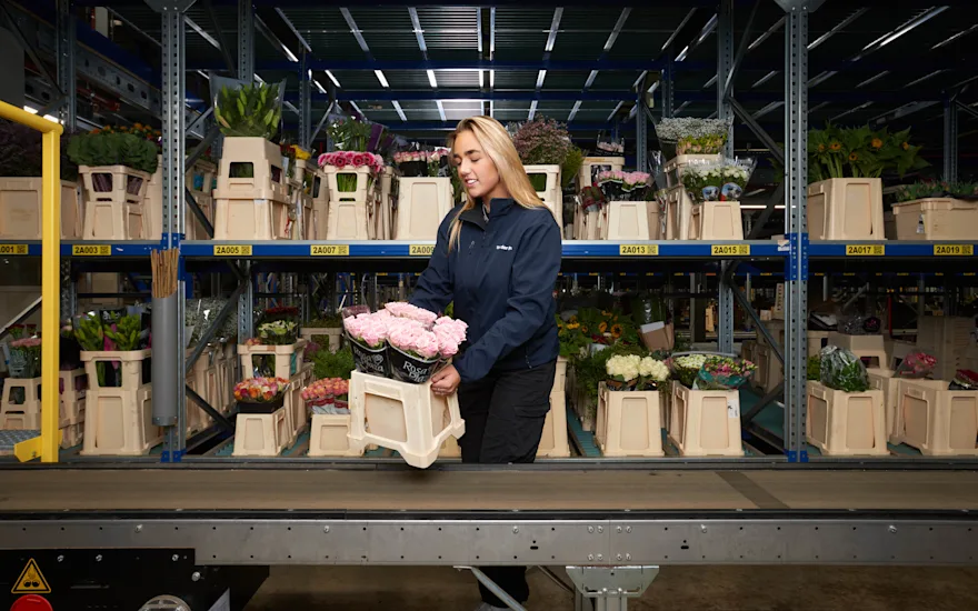 Flower wholesale roses