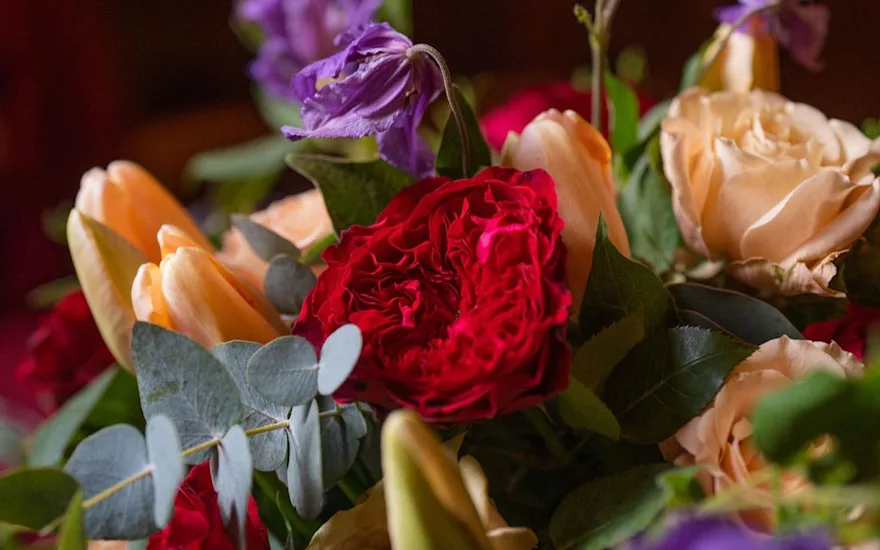 AmieBoneBelgravia-8.2