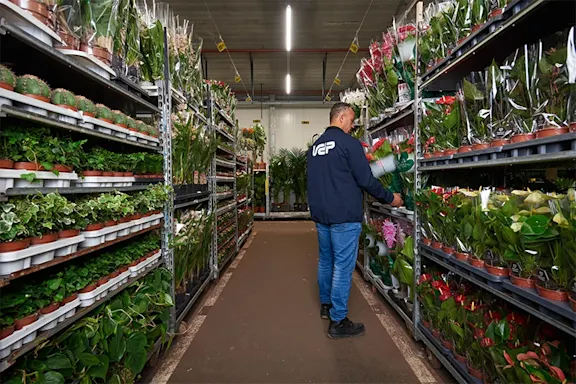 Plant wholesale quality control