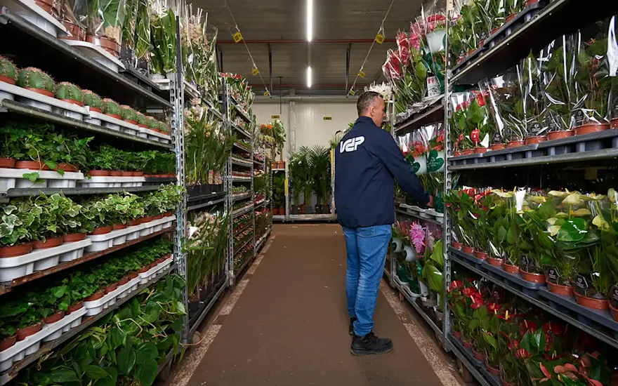 Plant wholesale quality control